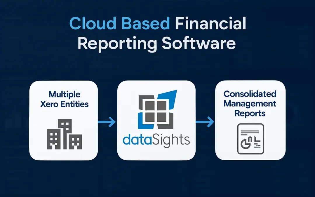 Cloud based financial reporting software for Xero – dataSights