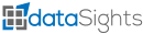 DataSights Logo