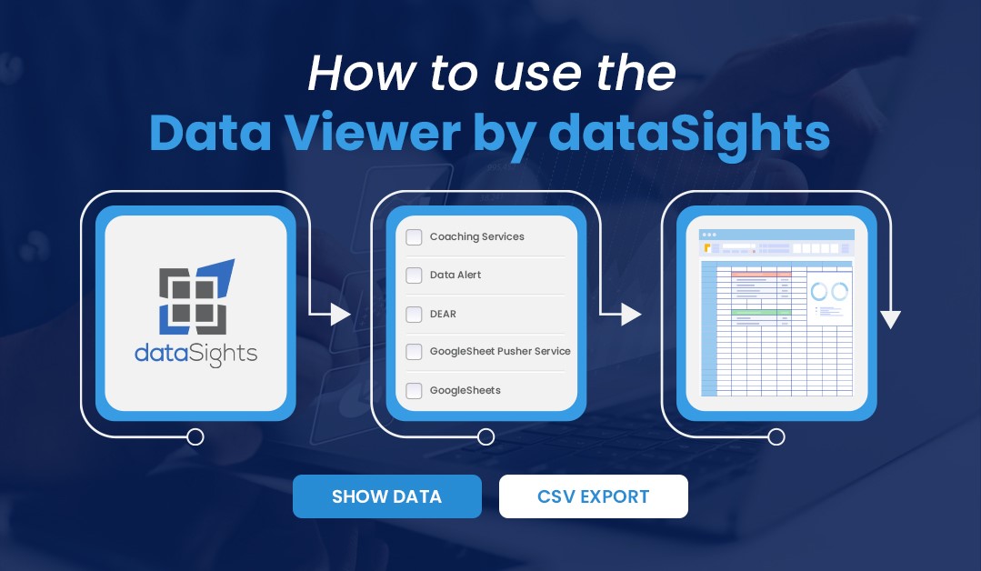 How to use the Data Viewer by dataSights
