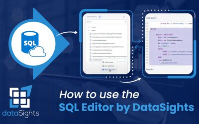 How to use the SQL Editor by dataSights