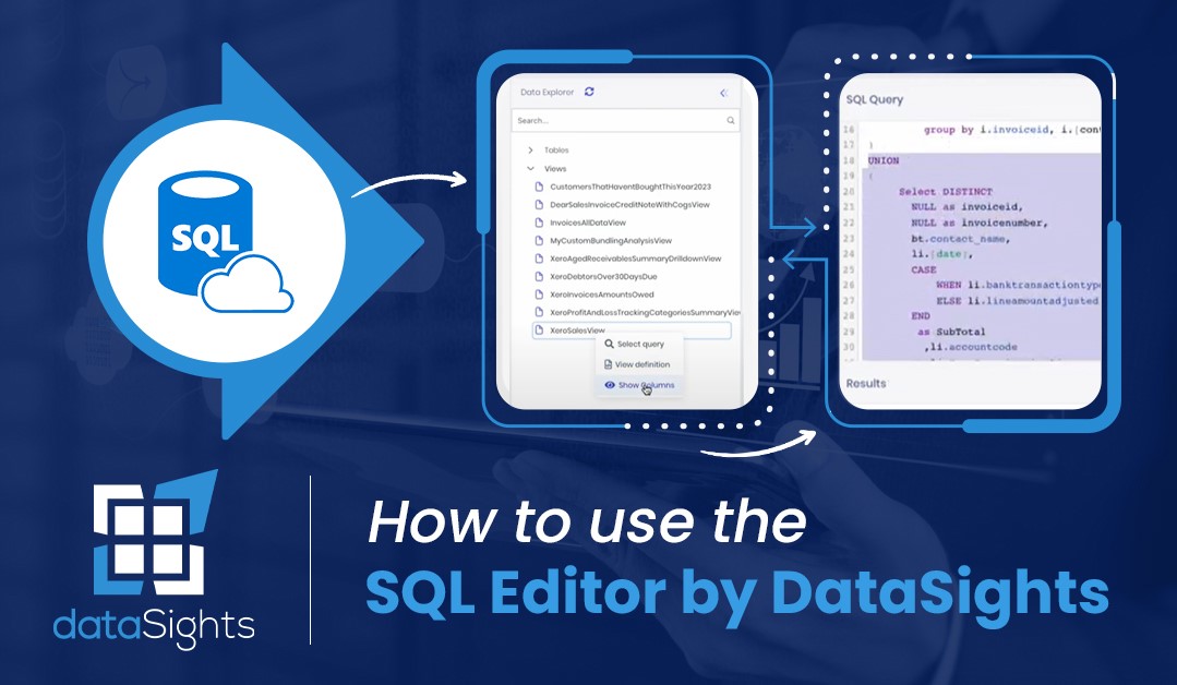 How to use the SQL Editor by dataSights